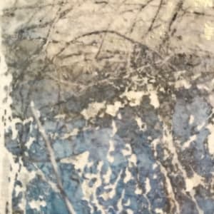 Flooded Brook Study by C. Clinton 