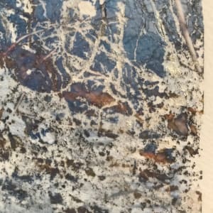 Flooded Brook Study by C. Clinton 