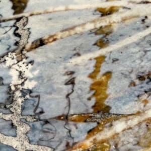 Flooded Brook Study, Boylston by C. Clinton 