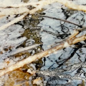 Flooded Brook Study, Boylston by C. Clinton 