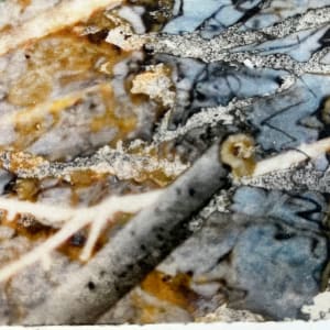 Flooded Brook Study, Boylston by C. Clinton 