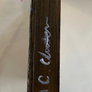 Water Study Flow 2 by C. Clinton 