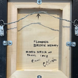 Flooded Brook Memory by C. Clinton 
