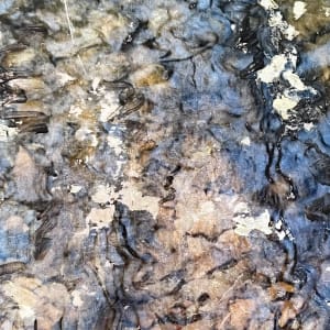 Flooded Brook 19 by C. Clinton 