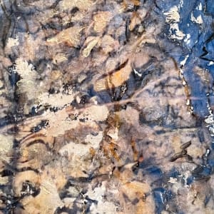 Flooded Brook 19 by C. Clinton 