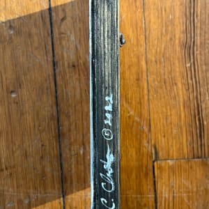 Night Flower Study 1 by C. Clinton 