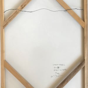 Spirit Trees by C. Clinton 