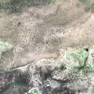 River of Dreams 12 by C. Clinton 