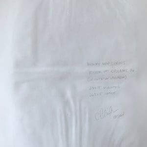 River of Dreams 14 by C. Clinton 