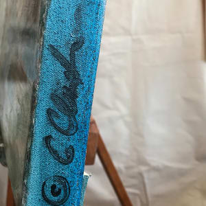 Woodland Water Transitions 