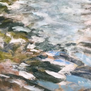 Woodland Water Transitions 