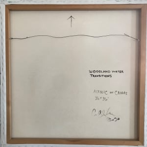 Woodland Water Transitions 