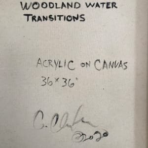 Woodland Water Transitions 