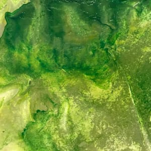 River of Dreams 14 by C. Clinton 