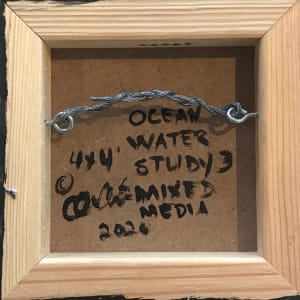 Ocean Water Study by C. Clinton 