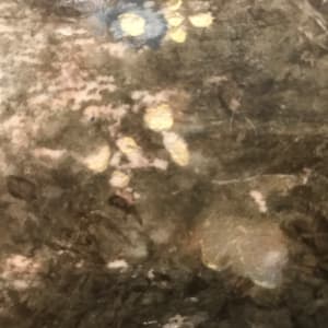 Puddle 7 by C. Clinton 