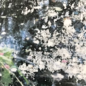 Reflection Study, 8x10 by C. Clinton 