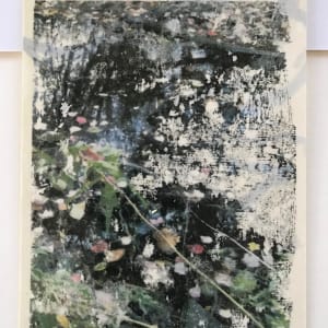 Reflection Study, 8x10 by C. Clinton 