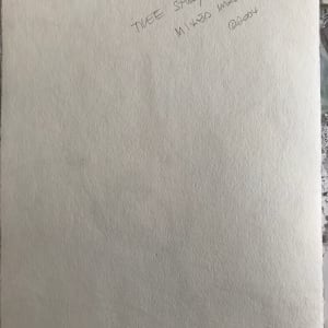 Tree Study Mixed Media 2 by C. Clinton 