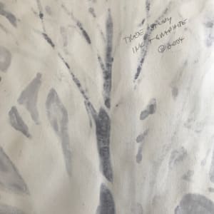 Tree Study, Ink and Graphite 