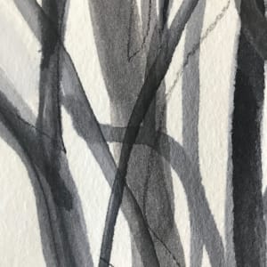 Tree Study, Ink and Graphite 