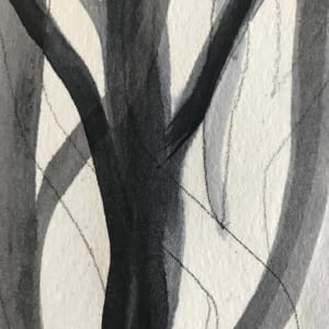 Tree Study, Ink and Graphite 