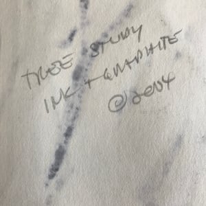 Tree Study, Ink and Graphite 