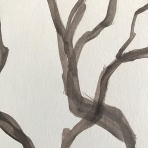 Tree Study Mixed Media by C. Clinton 