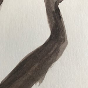 Tree Study Mixed Media by C. Clinton 