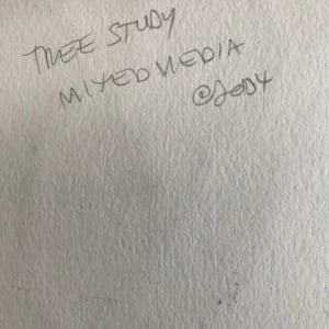 Tree Study Mixed Media by C. Clinton 