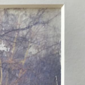 Treelight Spring Study 2 by C. Clinton 