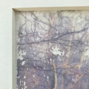 Treelight Spring Study 2 by C. Clinton 