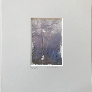 Treelight Spring Study 2 by C. Clinton 