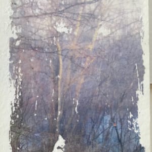 Treelight Spring Study 2 by C. Clinton