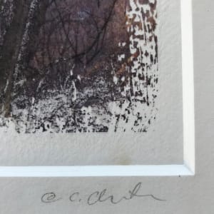 Treelight Spring Study 3 