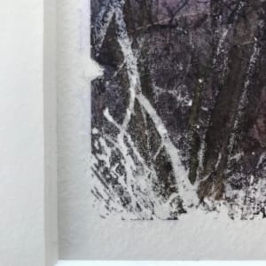 Treelight Spring Study 3 