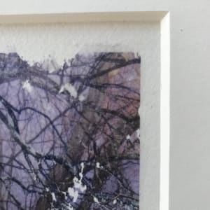 Treelight Spring Study 3 