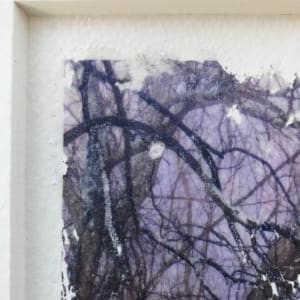 Treelight Spring Study 3 