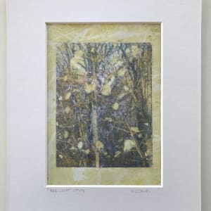 Tree Light Study Light by C. Clinton 