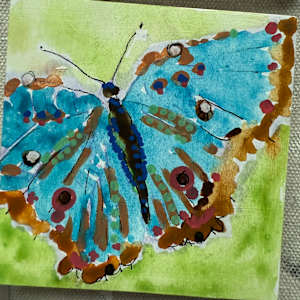 Butterfly5 by Carmen Duran 