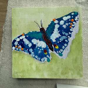 Butterfly9 by Carmen Duran 