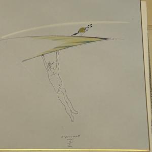 Male in Flight by Cecco Bonanotte