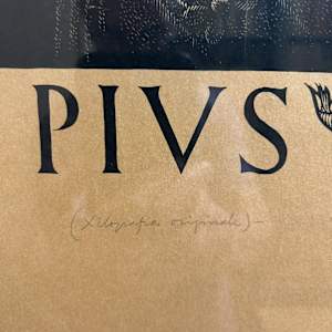 Pius XII by Giorgio Pianigiani, Image 2.