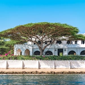 Lamu Vibes by Steven CW Taylor
