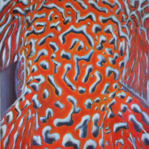 Plecostomus by Trent Thigpen