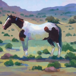 "Painted Pony"