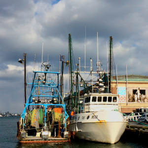 The Port Report, Come walk with me by Roseann Eliseo 