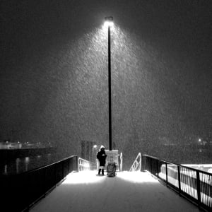 The Port Report, Come walk with me... by Roseann Eliseo 