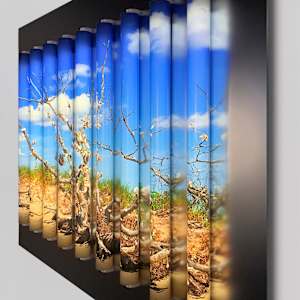 Wishing Tree by Clint Baclawski 