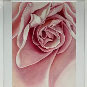 Rose-1 by Miriam Bucheli